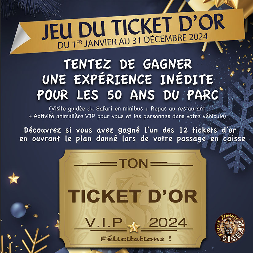 ticket d or.jpg (172 KB)